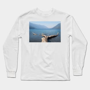 Lake Crescent Long Sleeve T-Shirt